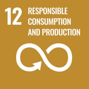 Ziel-12-Nachhaltiger-Konsum-Produktion