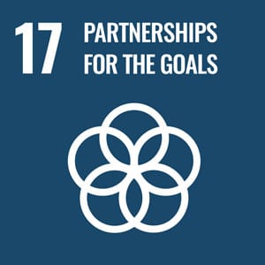 Ziel-17-Partnerschaften