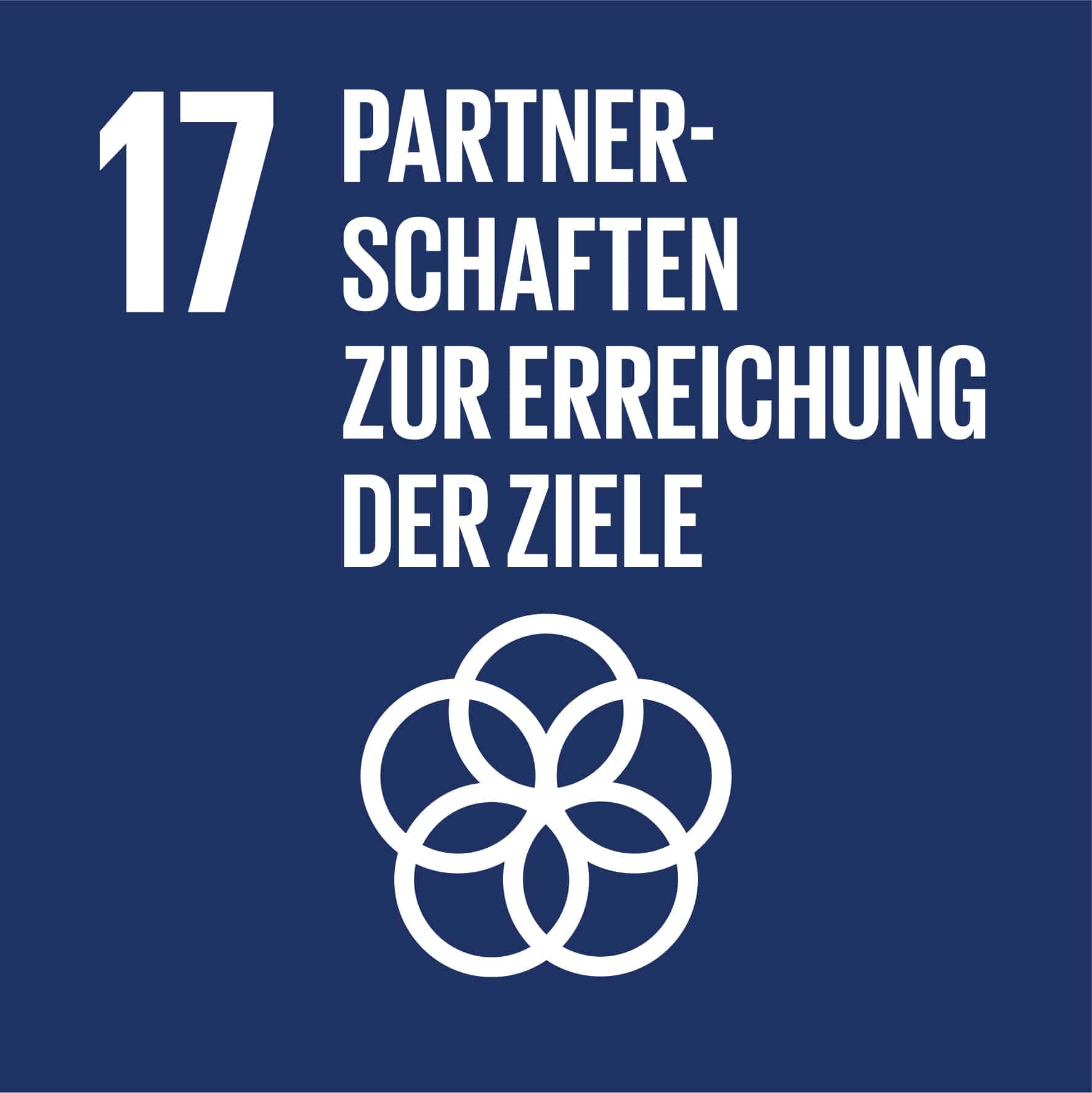 Ziel-17-Partnerschaften