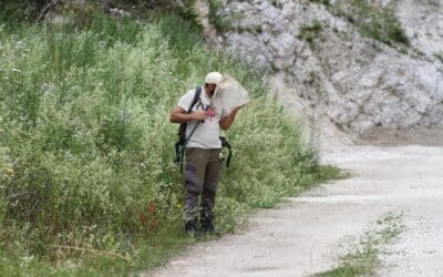 GEOTag – Day of Biodiversity 2025