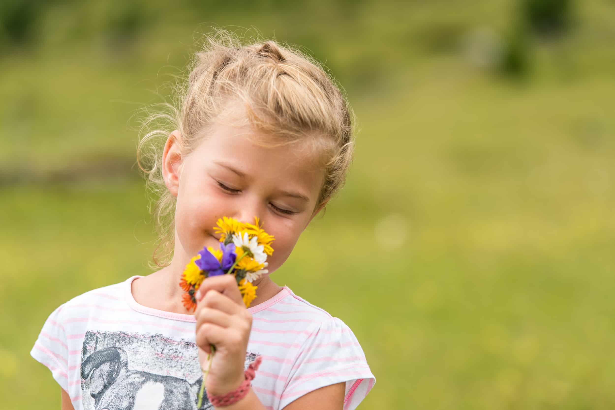 050-17 ©FRANZGERDL BPNB FALKERT _4554 Wandern_Nockberge-Trail_Falkert_Nockberge_Sommer © Michael Stabentheiner_Kärnten Werbung (3)